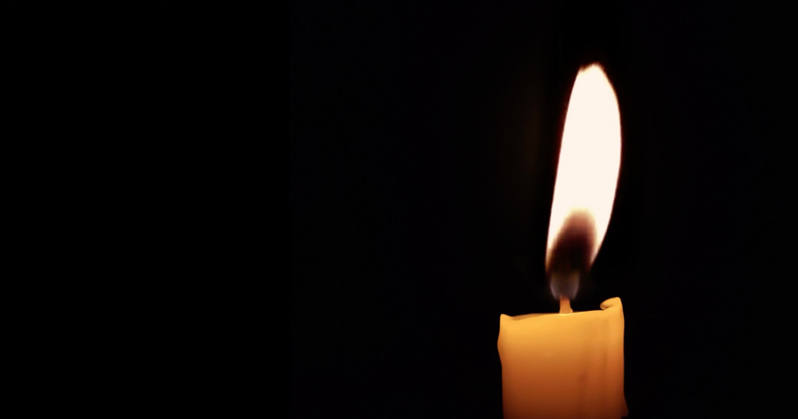 Hand Dipped Taper Candles, Beeswax Candles Mole Hollow Candles