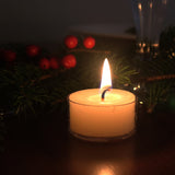 Winter Fir Holiday Scented Tea Lights