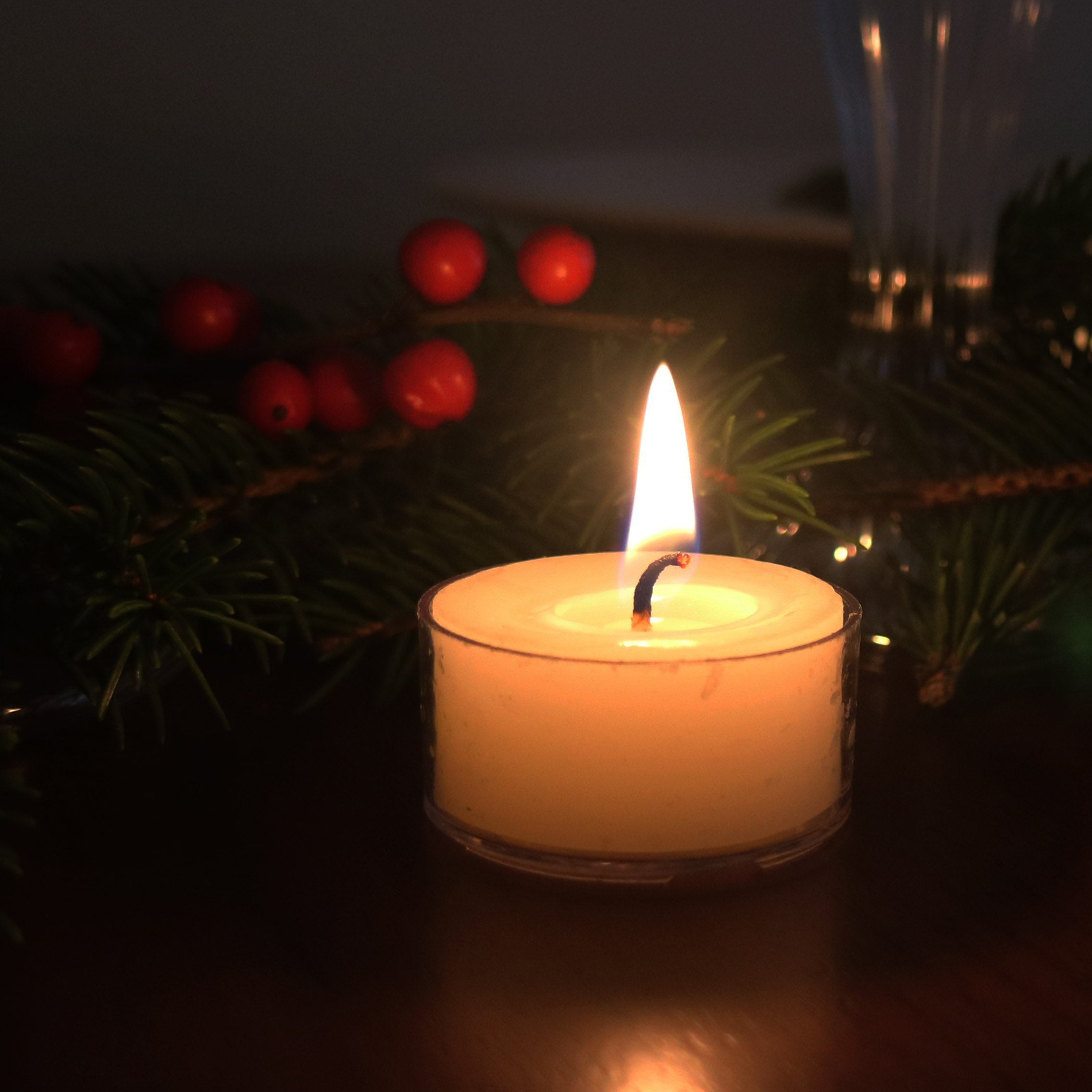 Winter Fir Holiday Scented Tea Lights